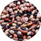 Protein Legumes