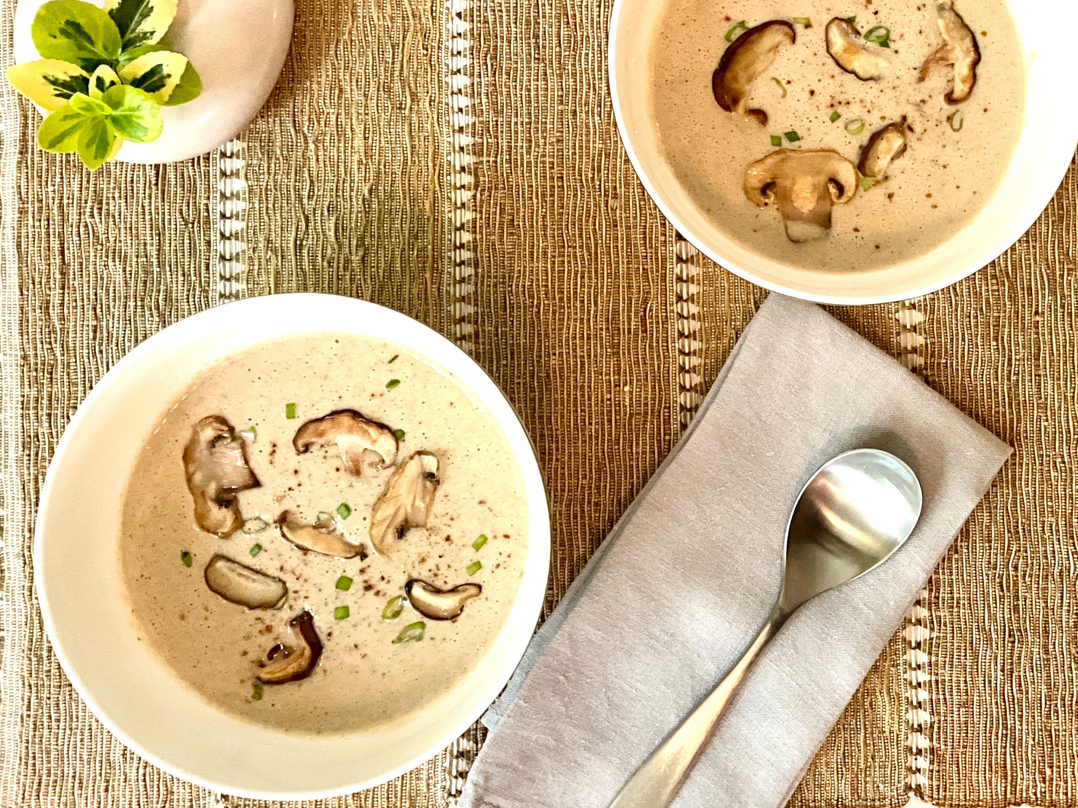 creamy-mushroom-soy-soup-recipe