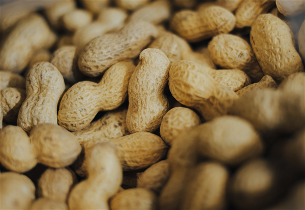 Peanuts